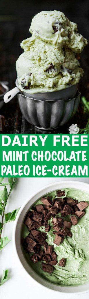 Creamy refreshing smooth vegan paleo ice-cream is the perfect summer treat! Incredibly easy to make at home, this dairy free mint chocolate chip ice-cream is so fresh and satisfying.