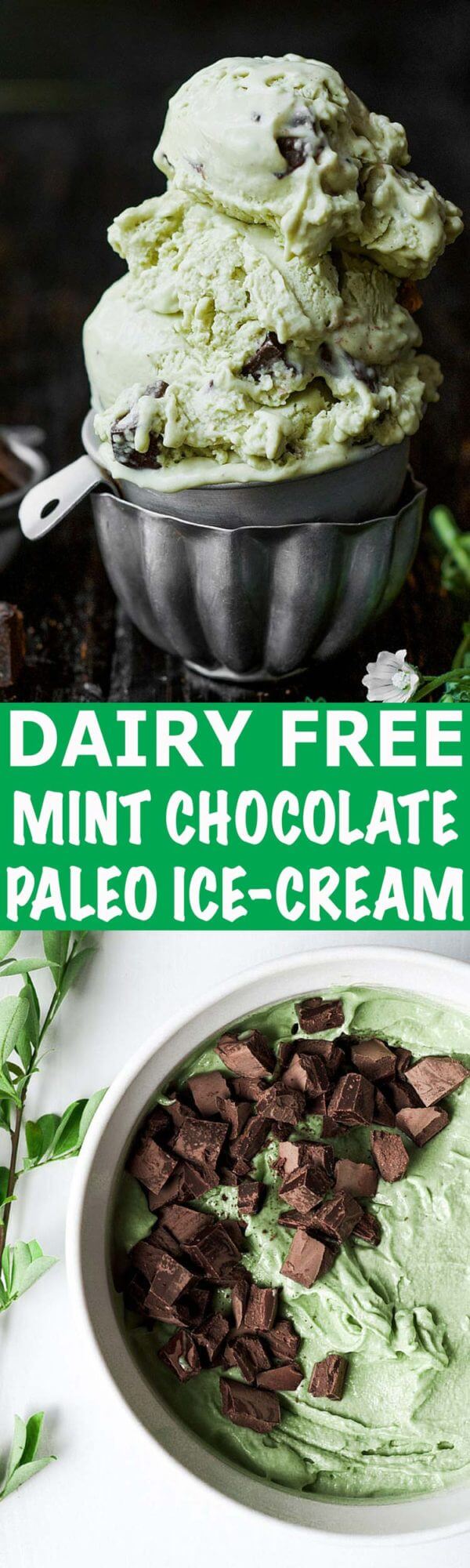 Dairy Free Mint IceCream Paleo Gluten Free