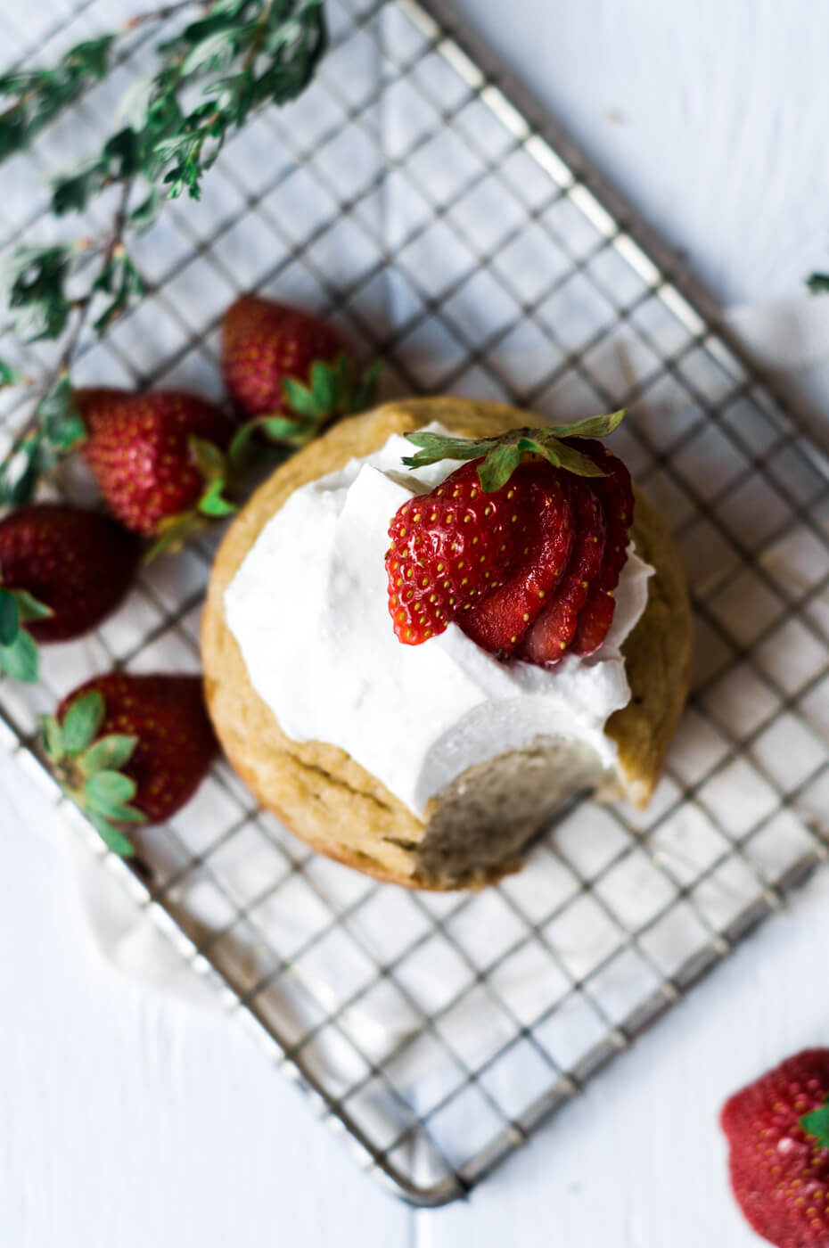 Paleo Strawberry Shortcake Mug Muffin Paleo Gluten Free
