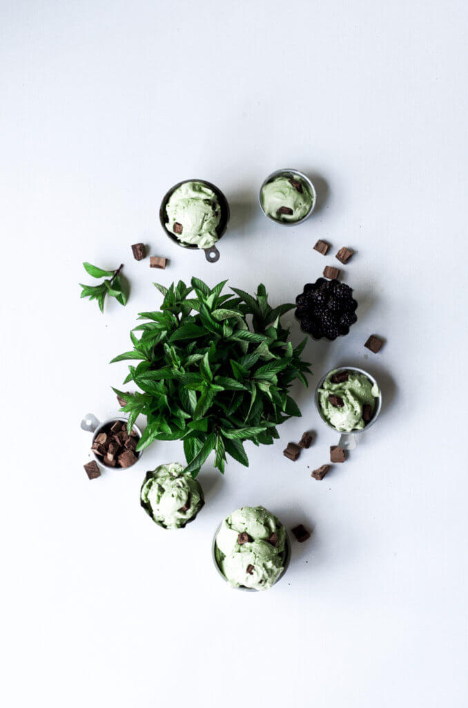 Creamy refreshing smooth vegan paleo ice-cream is the perfect summer treat! Incredibly easy to make at home, this dairy free mint chocolate chip ice-cream is so fresh and satisfying.