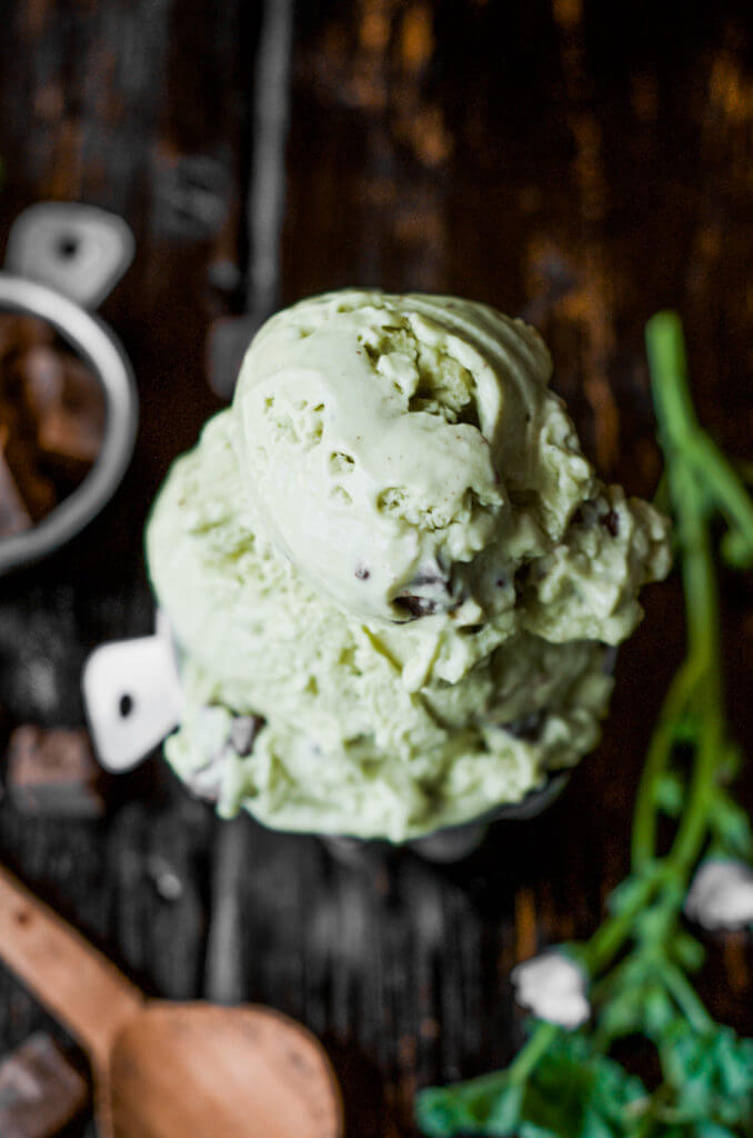 Creamy refreshing smooth vegan paleo ice-cream is the perfect summer treat! Incredibly easy to make at home, this dairy free mint chocolate chip ice-cream is so fresh and satisfying.