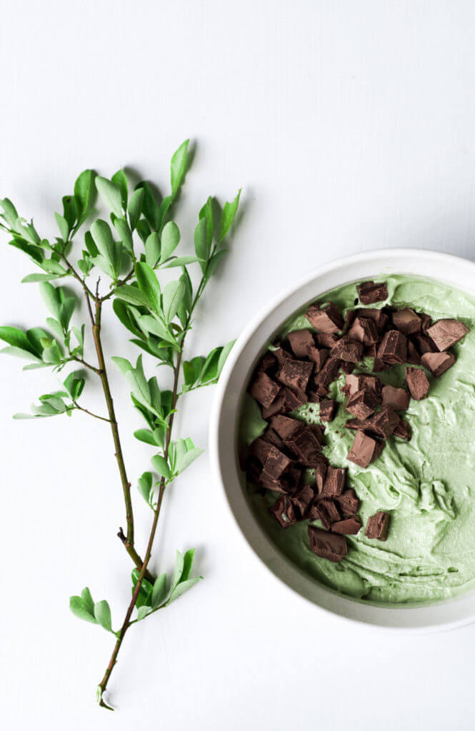 Creamy refreshing smooth vegan paleo ice-cream is the perfect summer treat! Incredibly easy to make at home, this dairy free mint chocolate chip ice-cream is so fresh and satisfying.