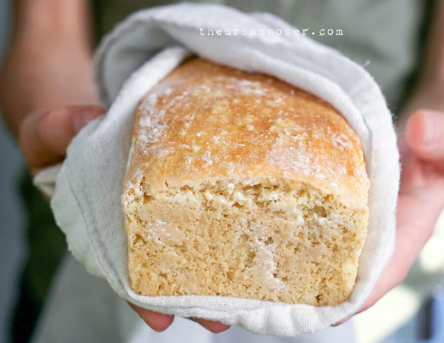 Best Grain free bread recipes! Paleo french bread. Easy to make sandwich bread. Delicious healthy bread recipes for all your cravings!