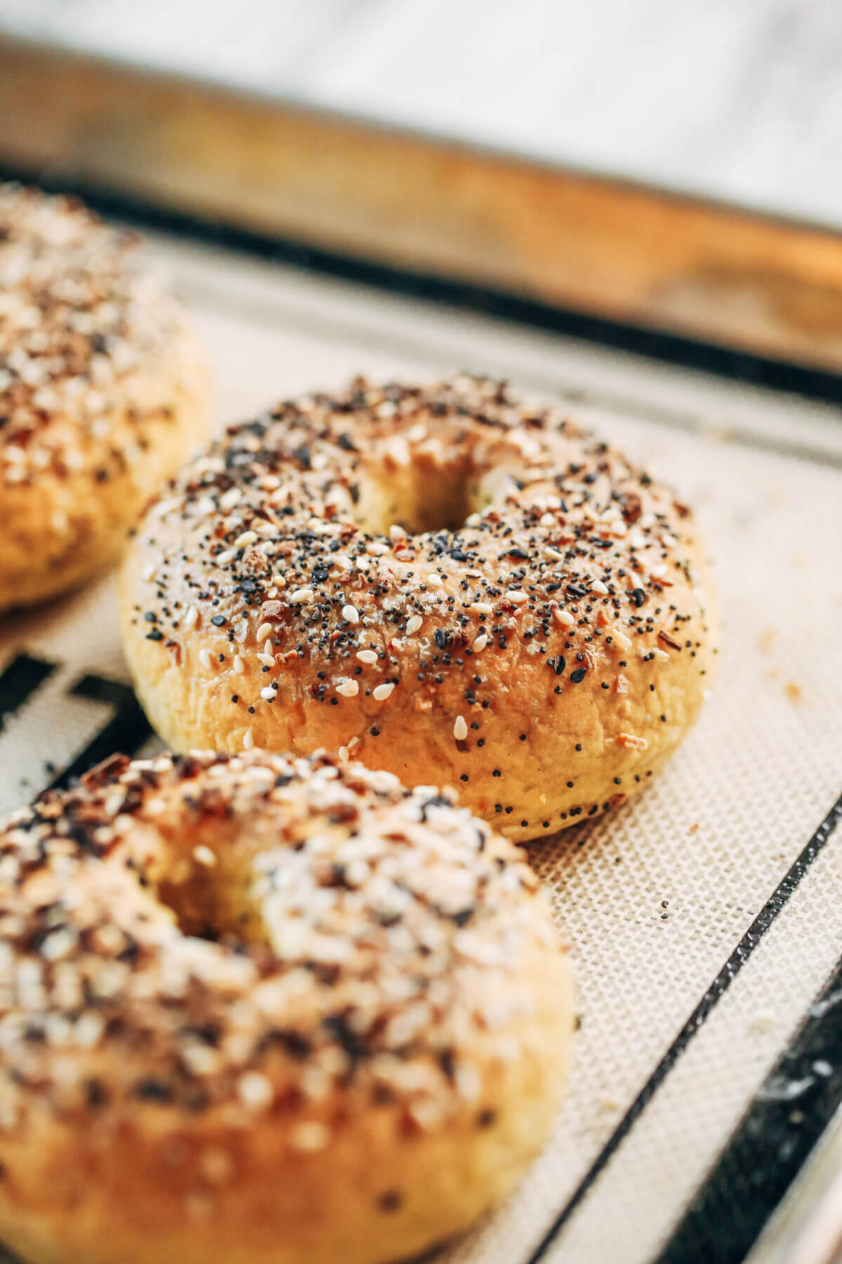 paleo-bagels-paleo-gluten-free