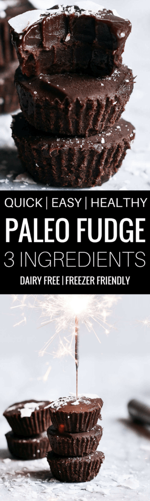 Ready for some chocolate goodness?! These easy paleo treats are deliciously rich and creamy. Made without dairy, these fudge bites are vegan… And dare I say, good for you? Ha ha, I once saw that pin on Pinterest about chocolate coming from a green plant; therefore, it was a vegetable. Let’s just go with that theory for today, huh? Paleo fudge. Best paleo fudge recipe. Best dairy free fudge recipe. Easy fudge recipe Easy chocolate fudge. Paleo dessert ideas. Best paleo snacks. Best paleo desserts. Vegan fudge recipe. Easy vegan fudge recipes. Dairy free dessert ideas.