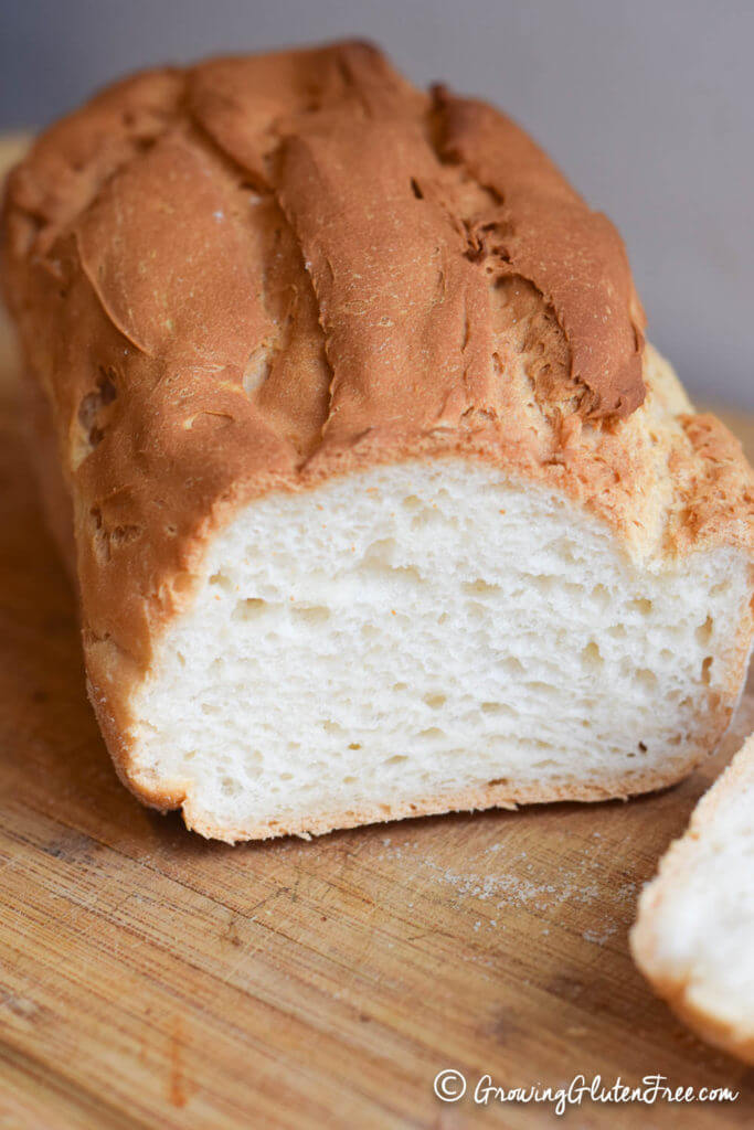 There IS life after wheat! Best soft and fluffy gluten free sandwich bread. Easy gluten free bread recipes. best paleo sandwich bread recipes. Easy paleo bread recipes.