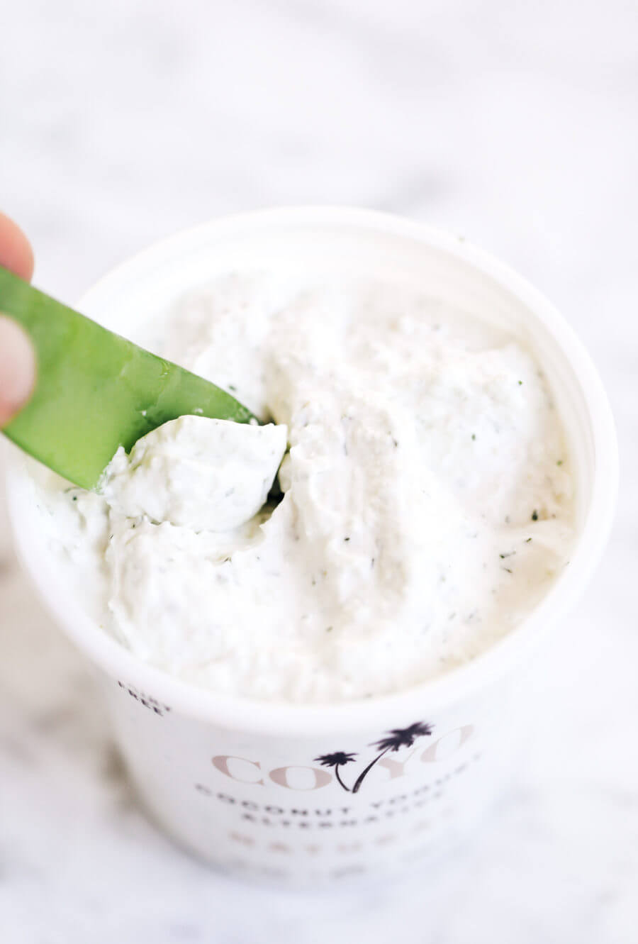 Dairy Free Yogurt Tzatziki Dip Paleo Gluten Free