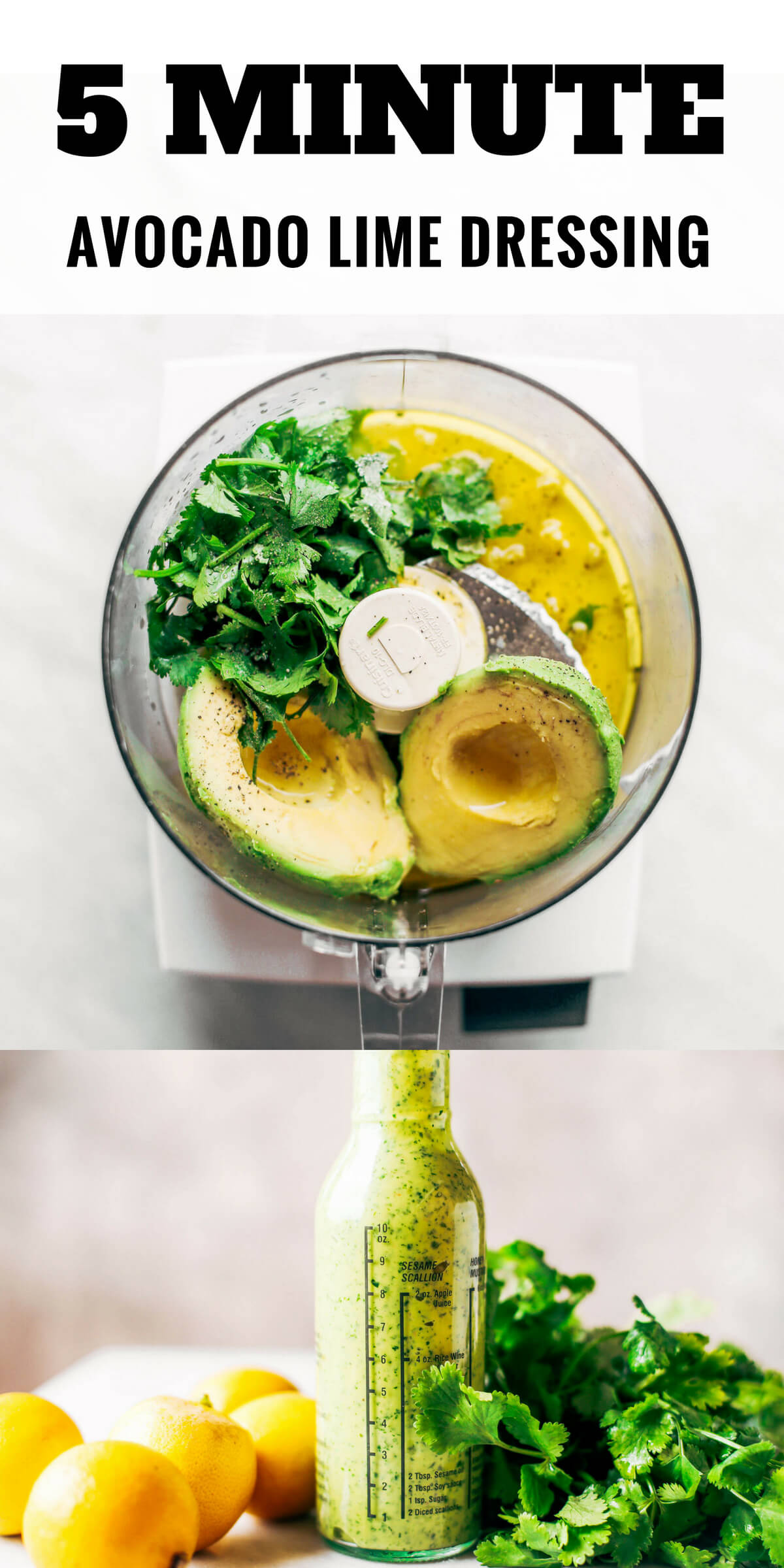 Creamy Avocado Cilantro Lime Dressing Paleo Gluten Free