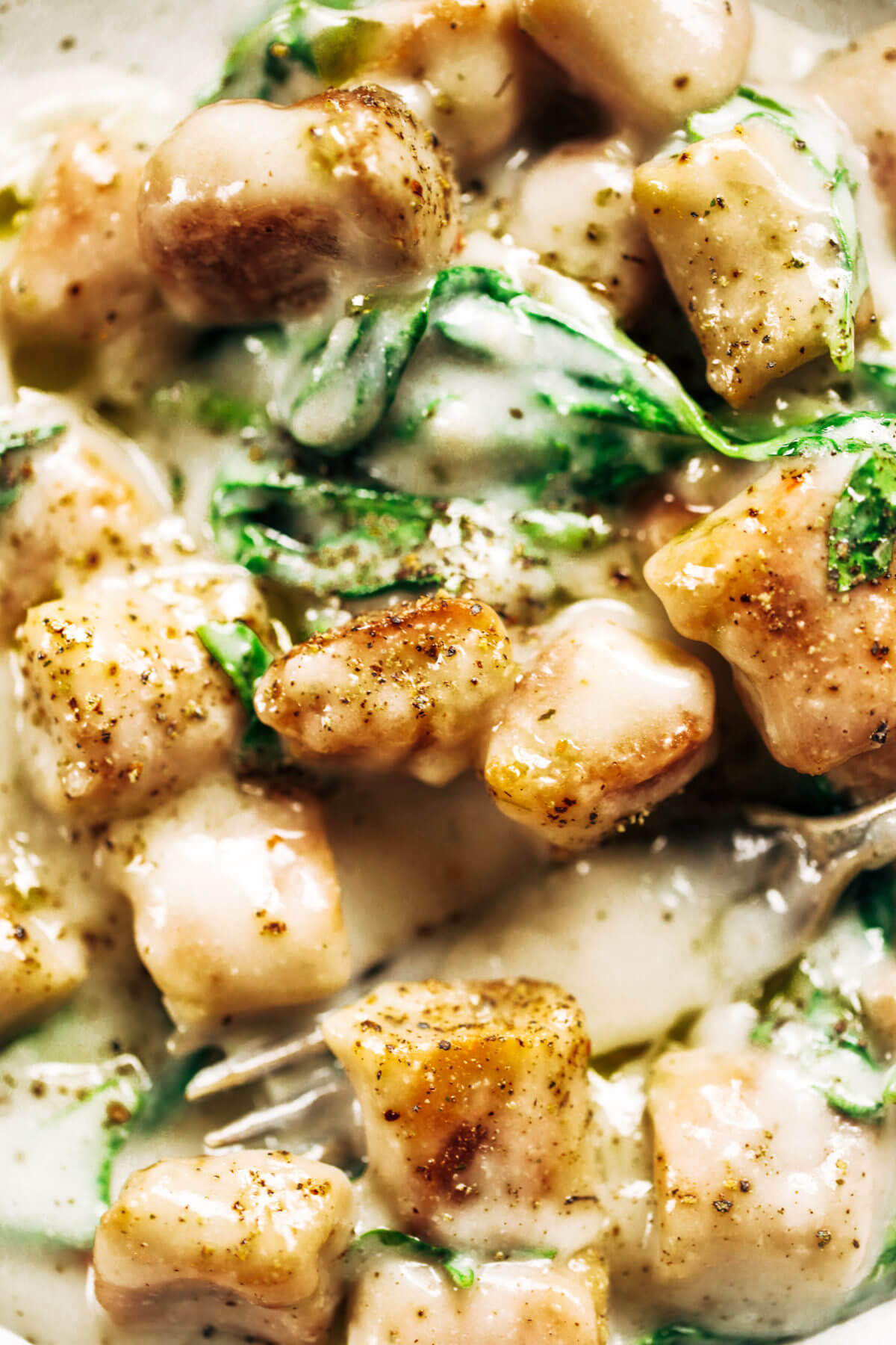 2 Ingredient Cauliflower Paleo Gnocchi Paleo Gluten Free
