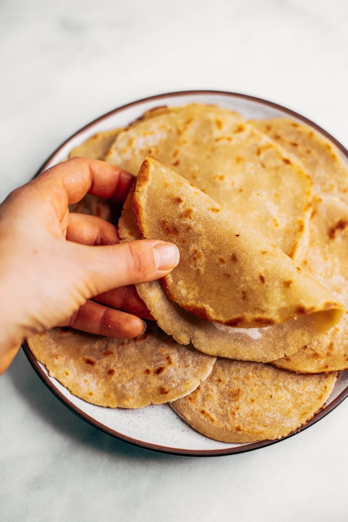The Secret Ingredient In Your Tortillas: Yeast? - h9qz0i3